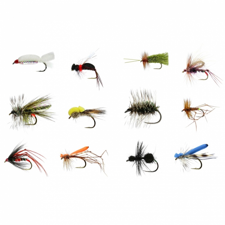 Caledonia Flies August Stillwater Dry Collection Fishing Fly Assortment